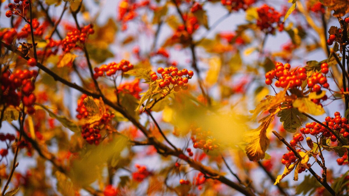 Фото: ru.freepik.com