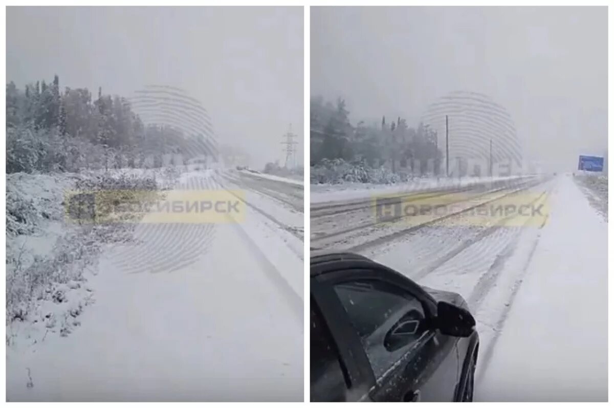    Новосибирцев предупредили об опасности массового снеголома в лесах