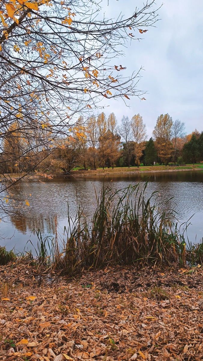 Фото из личного архива автора канала Во благо ❤️ 