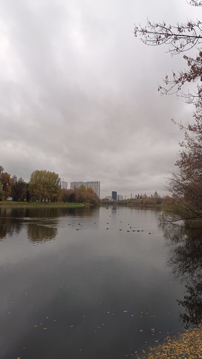 Фото из личного архива автора канала Во благо ❤️ 