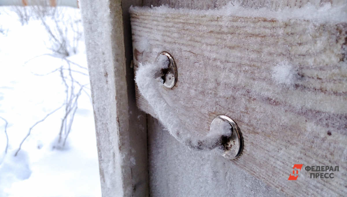В ближайшие дни ожидается снег на северо-западе страны.  Фото: ФедералПресс / Елена Майорова