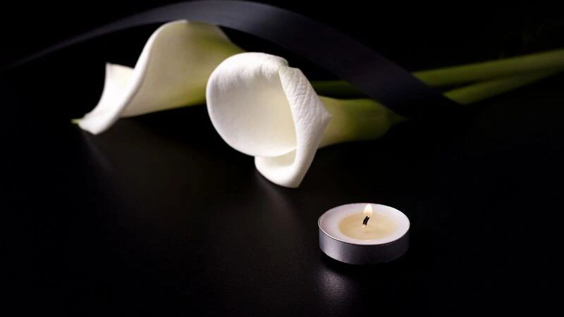    Фото: Marharyta M/Shutterstock/Fotodom