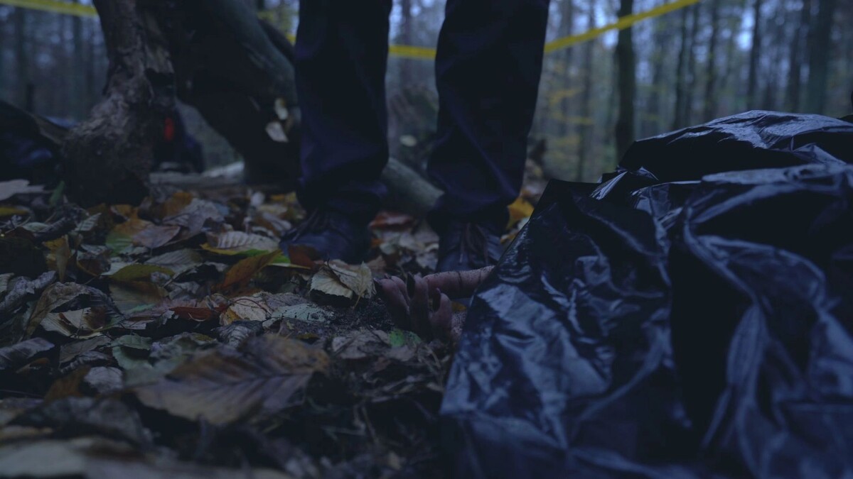    Фото: SynthEx/Shutterstock/Fotodom