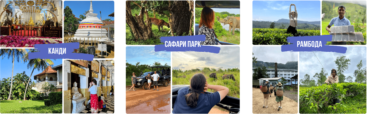 Некоторые локации из нашего тура по Шри-ланке