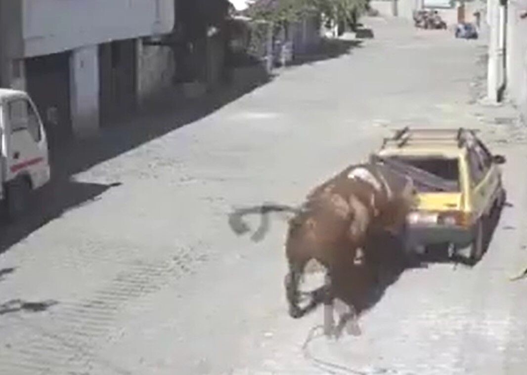     / Источник: Кадр из видео