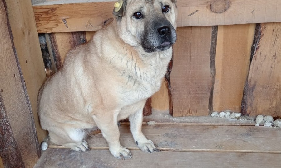 SOS!!! Количество показов и просмотров минимально, нас кажется, решили уморить голодом!