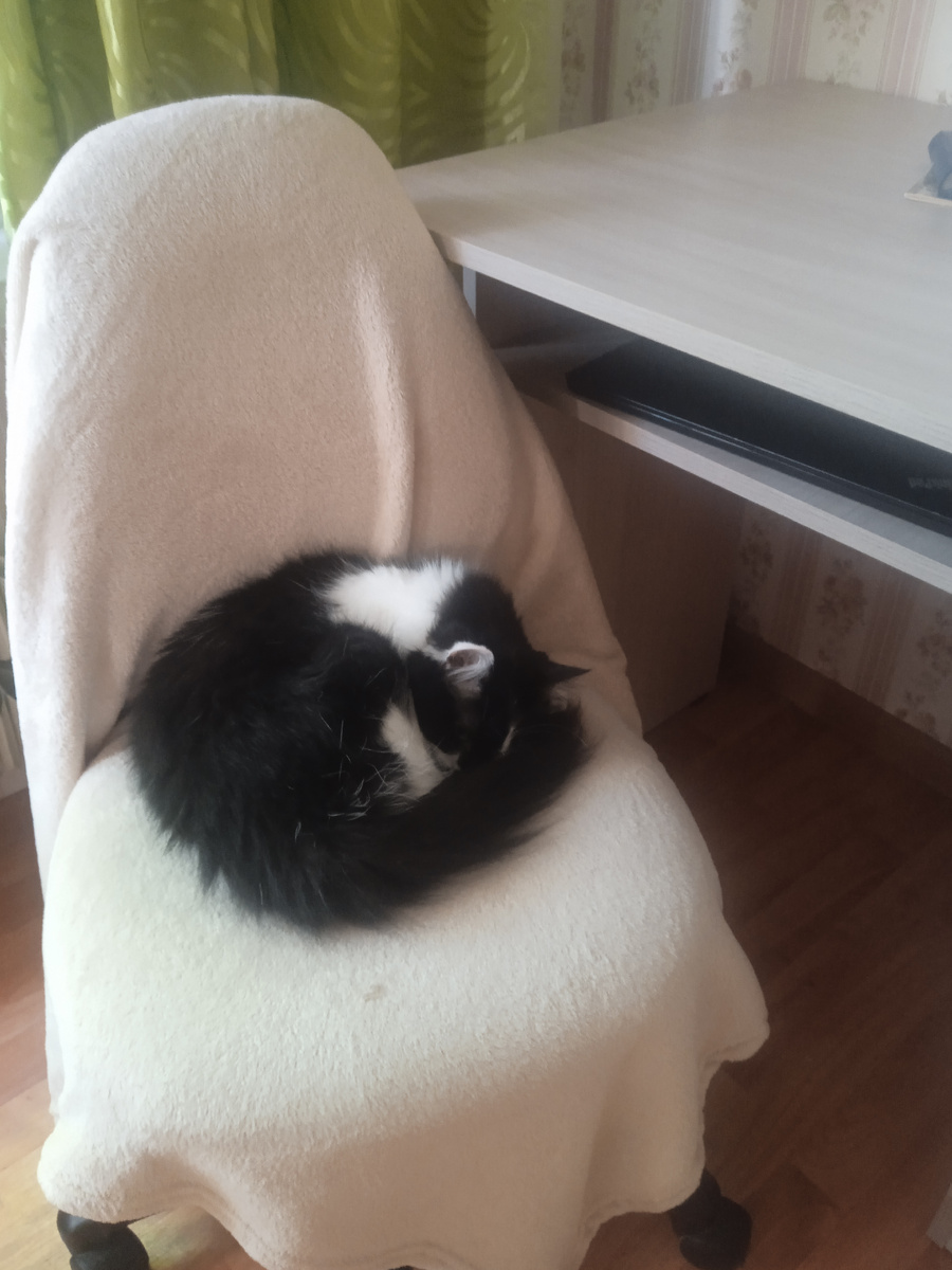 Наша Мыраша