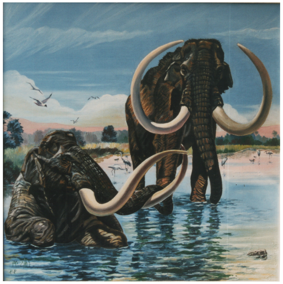 Императорский мамонт (Mammuthus imperator) , рост - до 4,5 м. в плечах. /Картина автора эссе /ремейк картины Зденека Буриана/