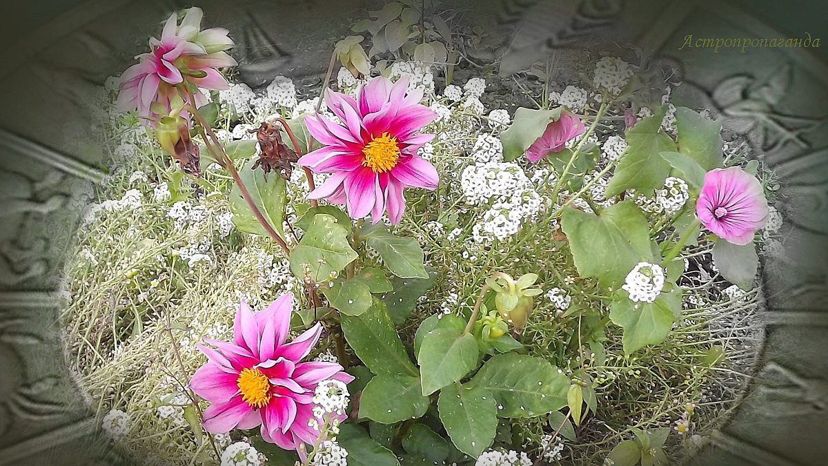 Гороскоп с 20 по 26 октября 2025: Меркурий в соединении с Марсом | Недельный гороскоп