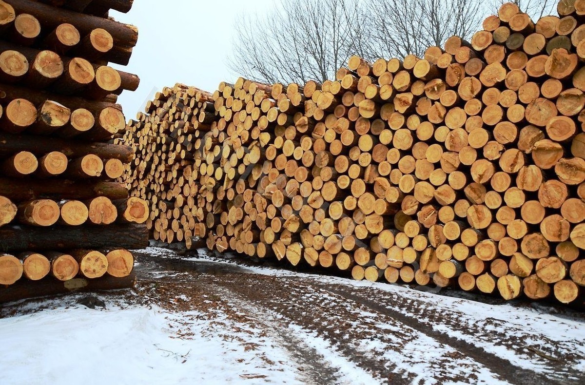 Производство клееного бруса