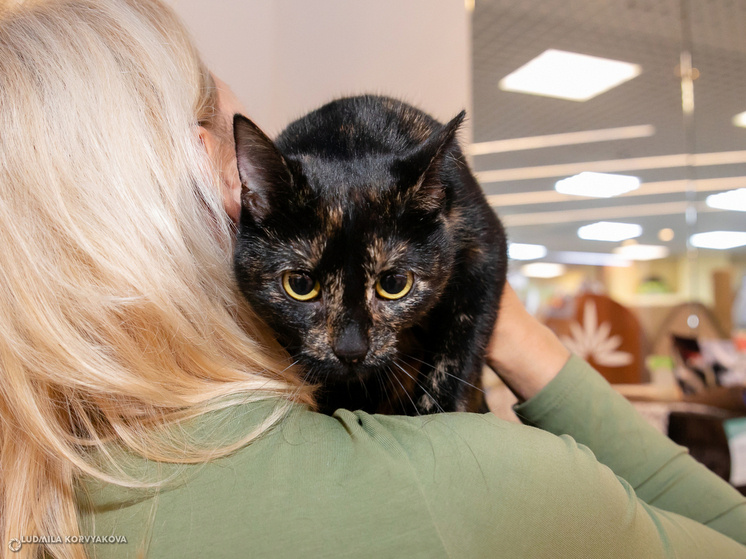     Фото МК в Карелии