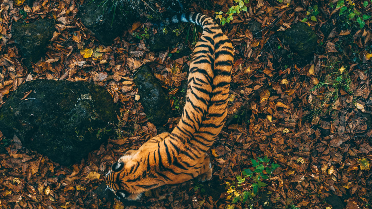 Фото: Татьяна Лобанова, участник конкурса РГО «Самая красивая страна»