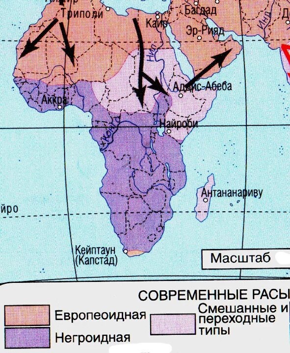 Рассовый состав населения Африки