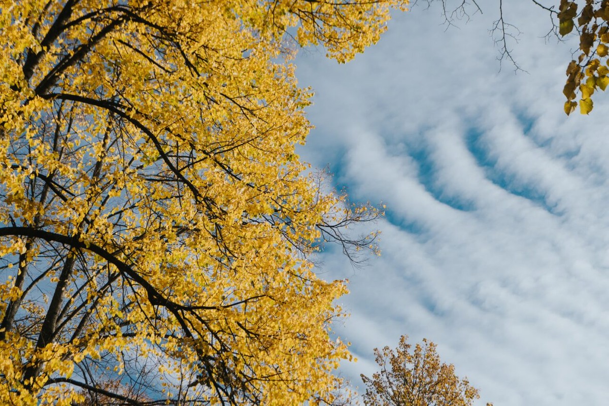    Фото: "Республика" / Лилия Кончакова