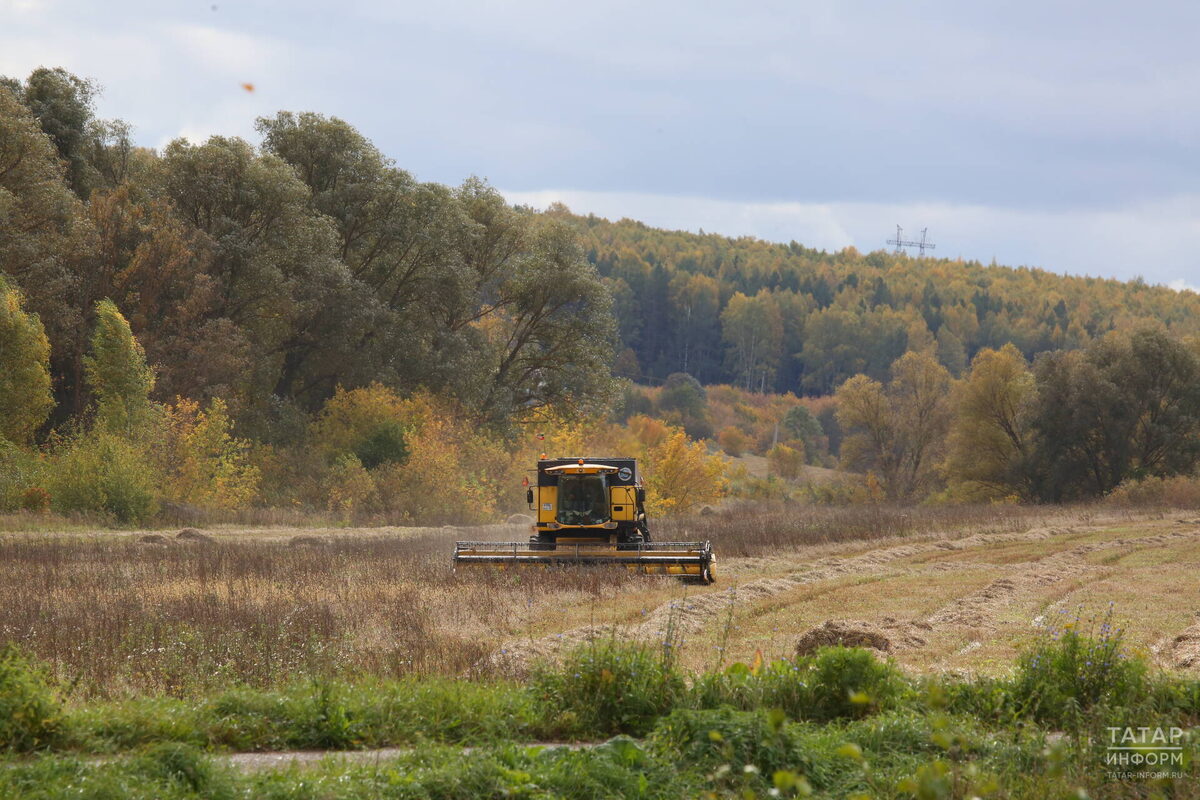 Фото: © Султан Исхаков / «Татар-информ»
