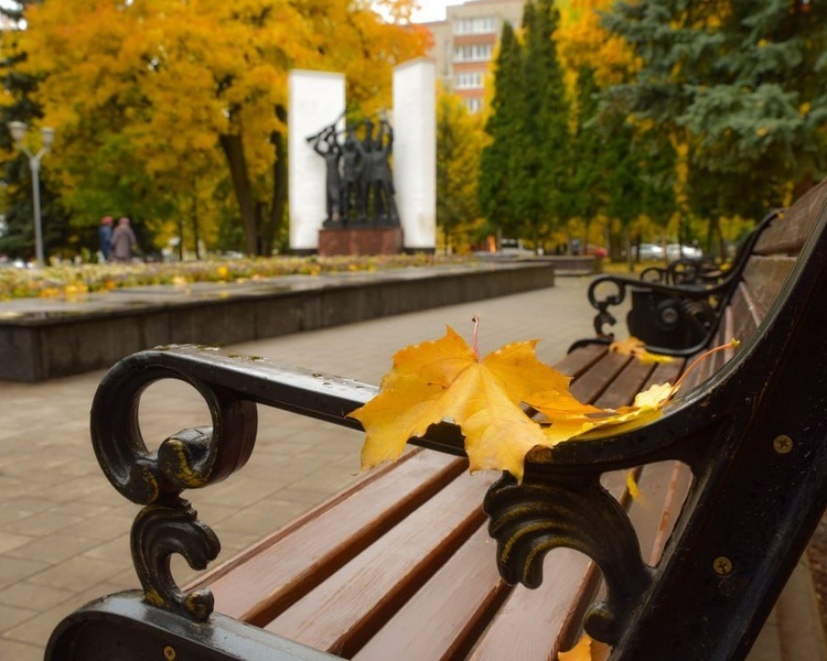     В Курской области 19 октября ожидаются дожди и до +12