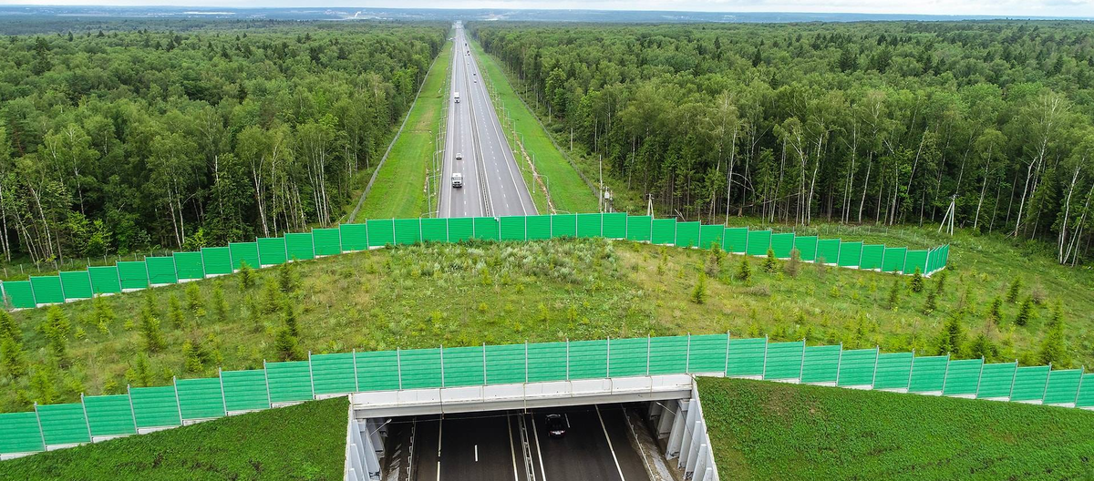 А это около Калуги