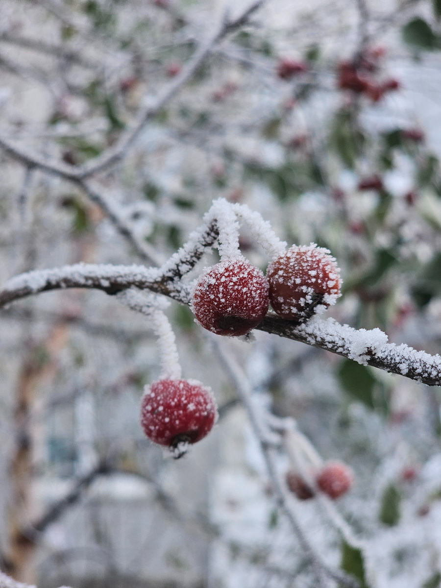 Почти зима в Иркутске 