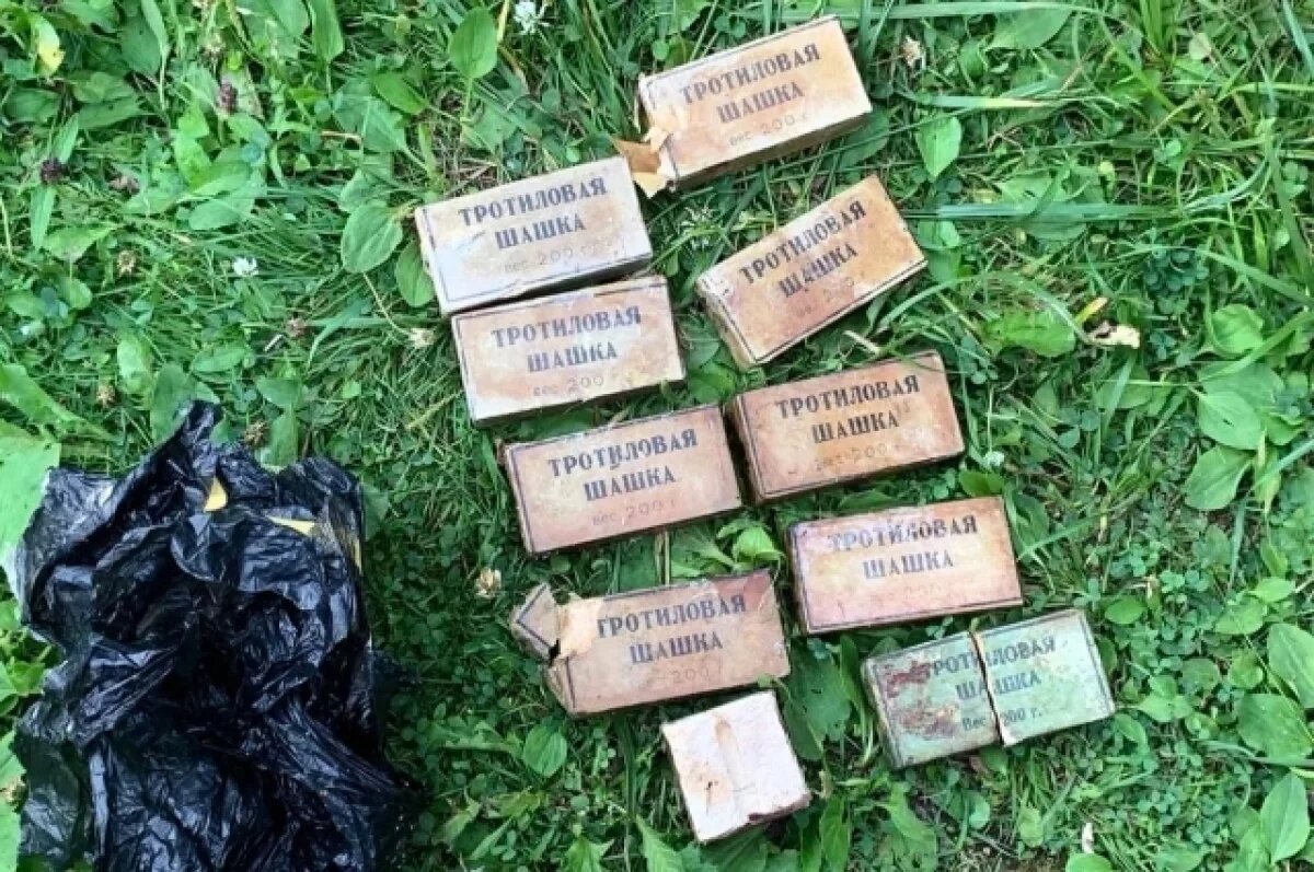    В Ленобласти нашли схрон времён войны с 18 кг тротила