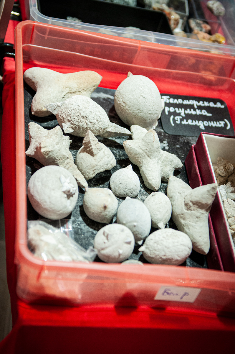 Беломорская рогулька — глендонит