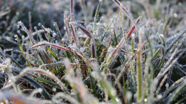    CC BY 2.0 / Jeffry /