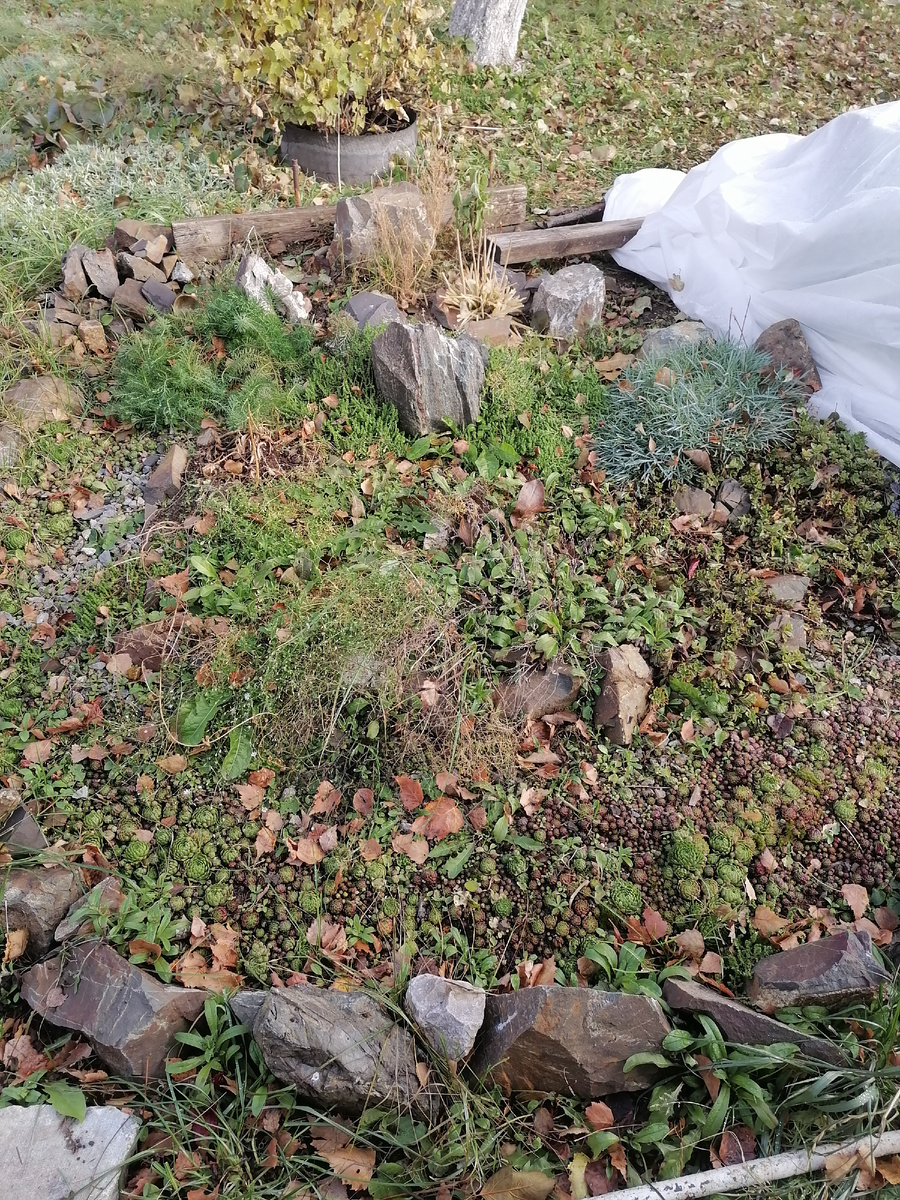 Альпийская горка 