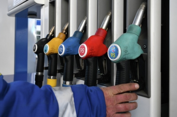 Фото: Григорий Сысоев/РИА Новости
