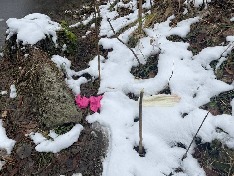 Место обнаружения останков