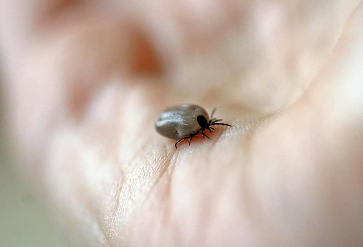 фото: pxhere.com