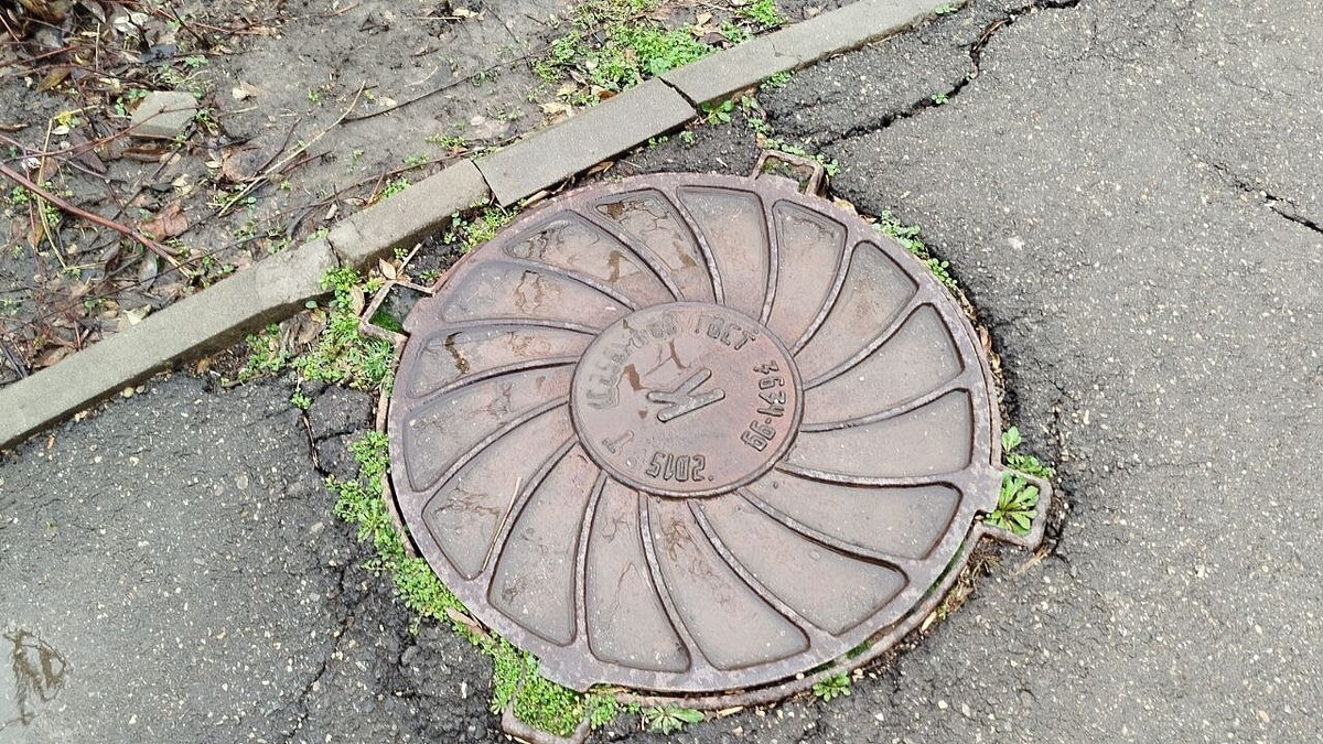    Фото: телеканал «Краснодар»