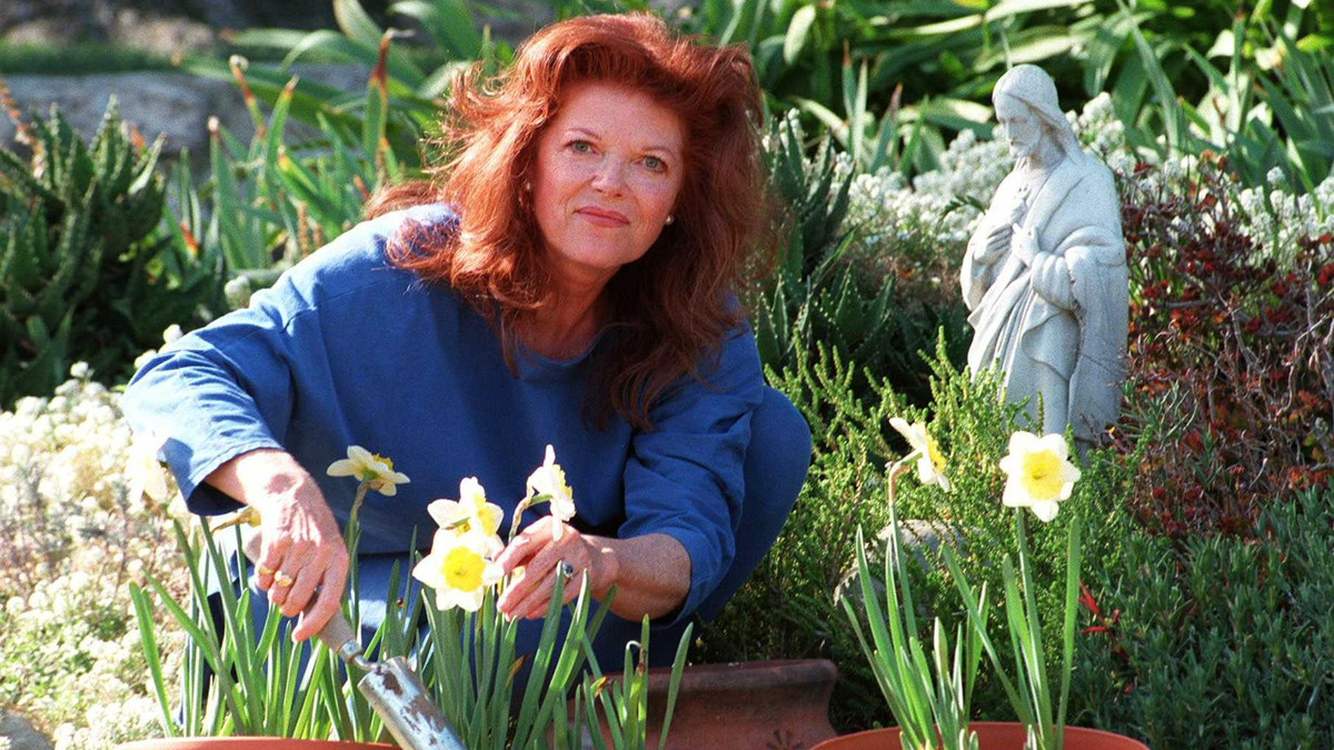    Бриджит Бардо. Фото: Getty images