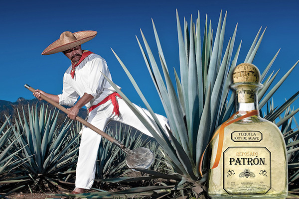 🥃БАЗА по Текиле: мексиканскому "дару богов"