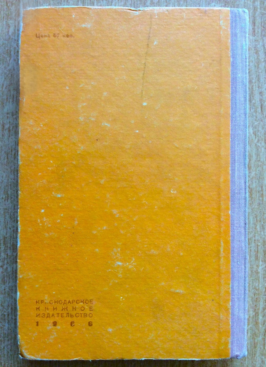 Задняя обложка книги "Два шага маятника".