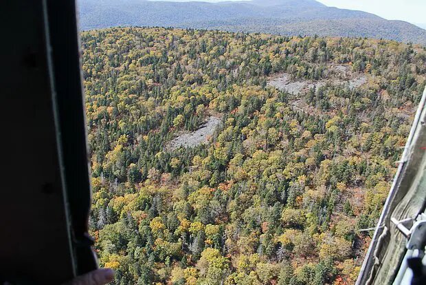    Фото: lenta.ru Олеся Шмелева