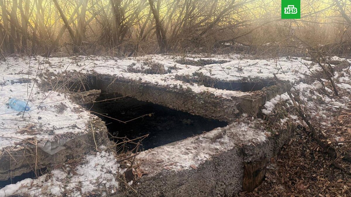    Фото: kemprokuratura / t.me