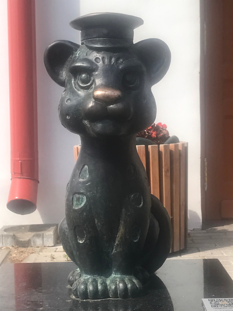 Барсик-гимназист Юра. Фото автора 