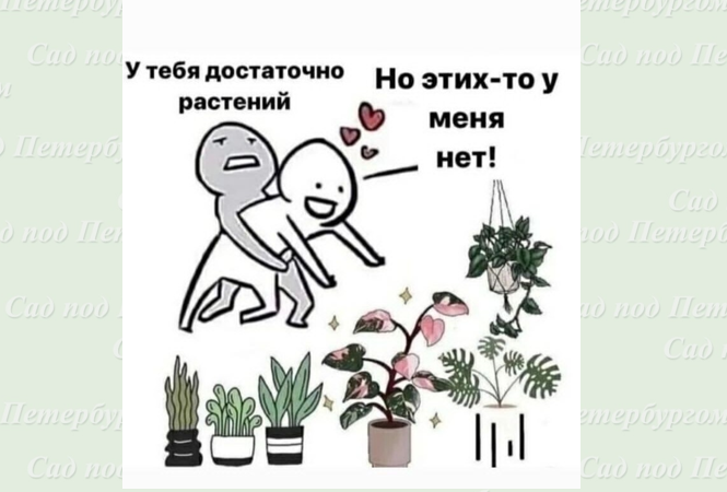 Картинка не моя, но уж больно актуальная...