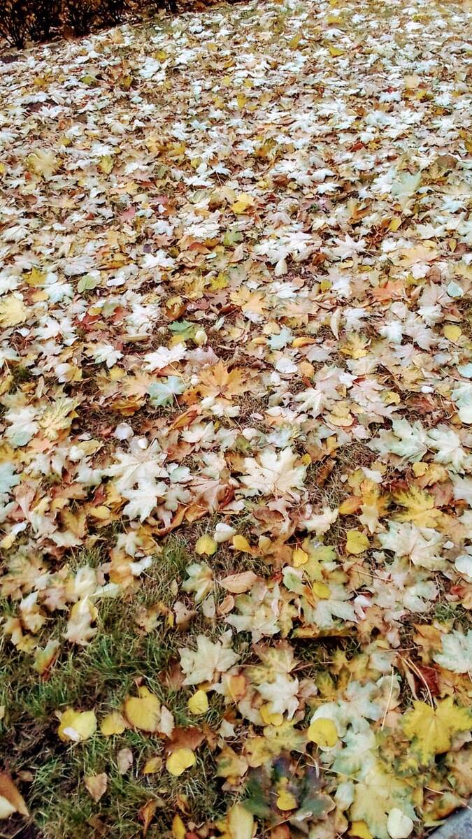 Фото автора. 