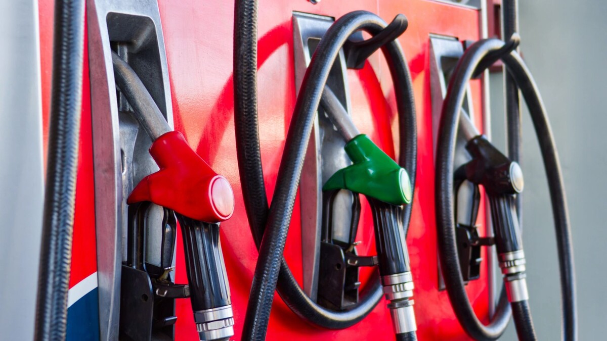    Фото: Lucian Coman / Shutterstock / Fotodom