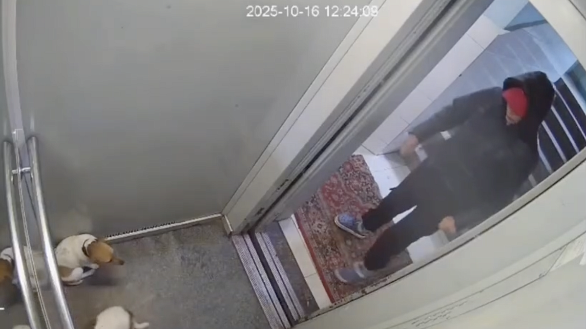    Фото: t.me/ENews112