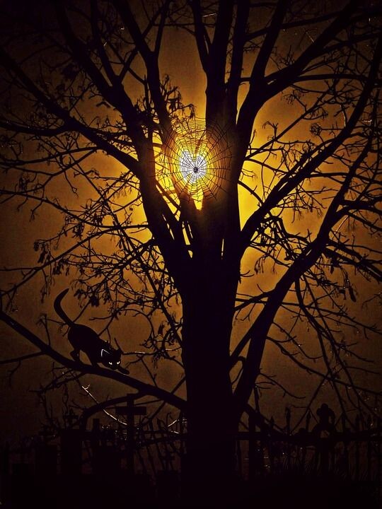 картинка из интернета