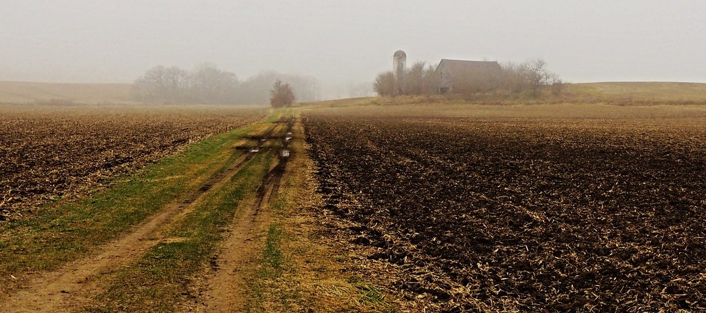 картинка из интернета