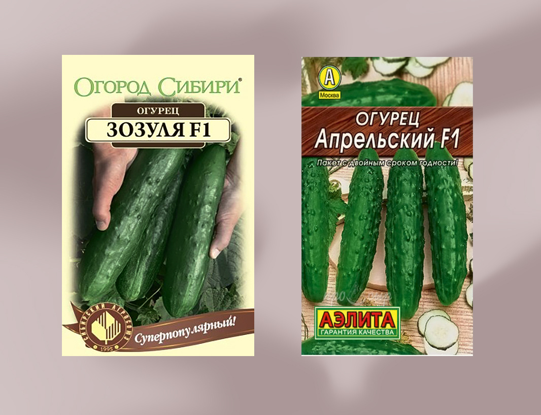 салатные огурцы