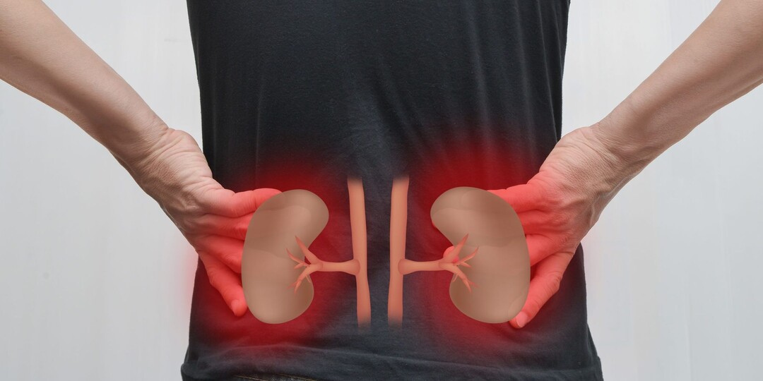 Как сахарный диабет «тихо» разрушает почки — и что с этим можно сделать