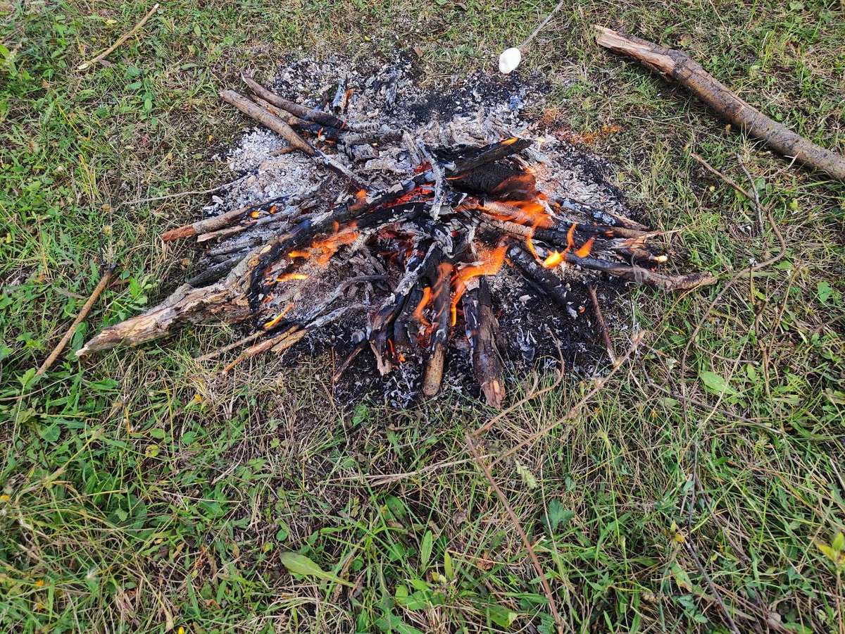 Фото автора.