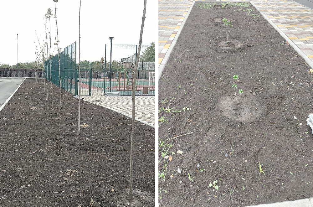    Фото с официальной страницы Ремонт школы №43 в телеграмм канале Марина Ецкова