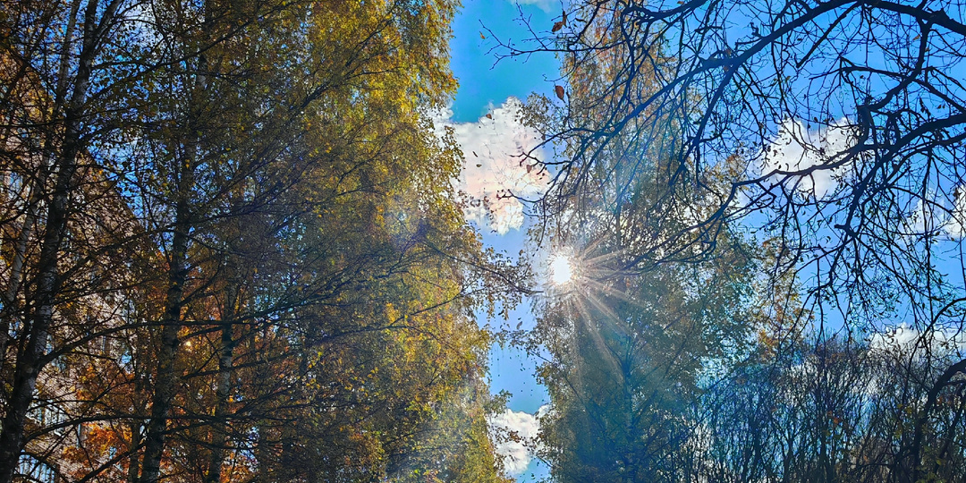 Врач сказал всё неплохо. А вот с моими ногами что-то не то