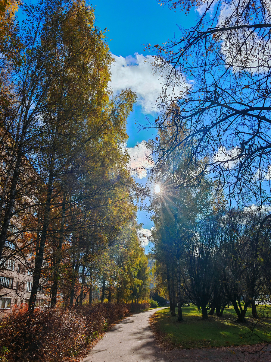 Октябрьское фото