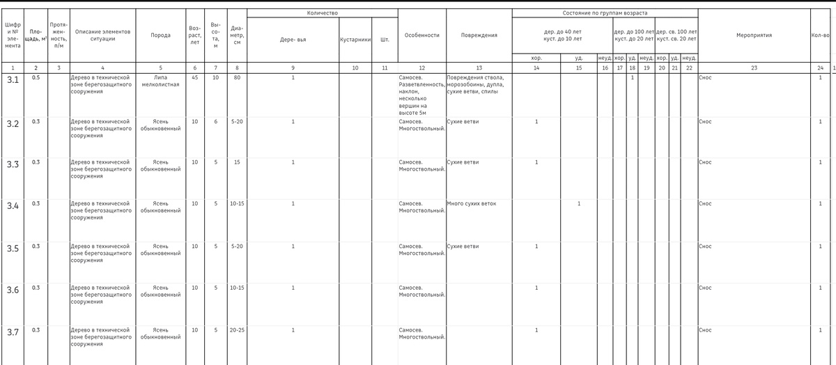 Фрагмент инвентаризационного описание деревьев в зоне набережной, подлежащей капитальному ремонту. Кругозор Проектировщика