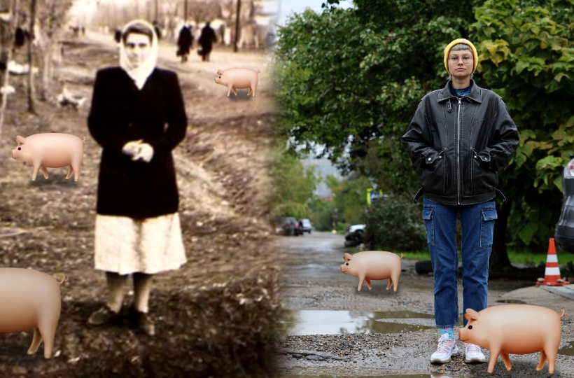 Свинячий хутор: от скотобойни на окраине Краснодара до центра миллионника